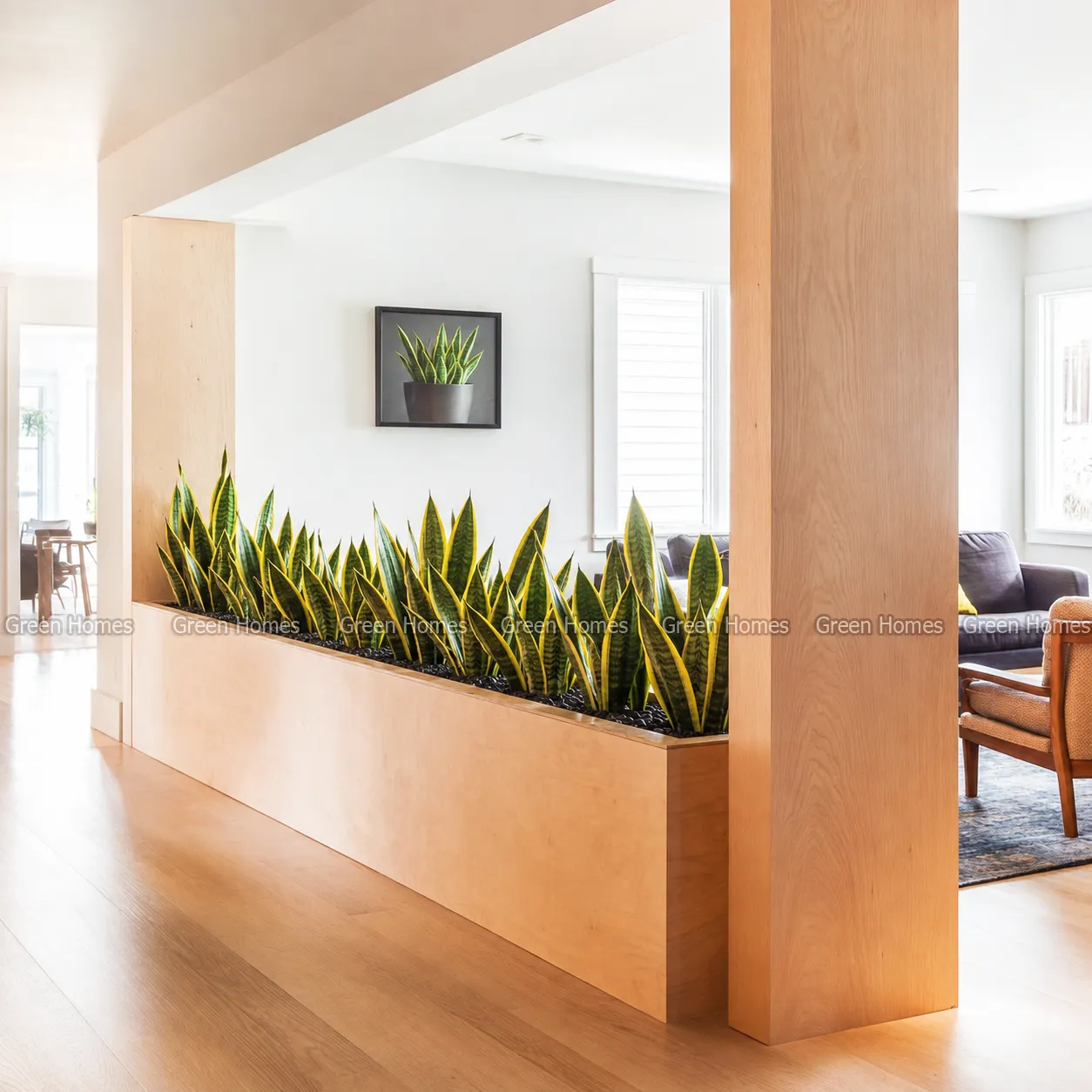 Green Homes tư vấn thiết kế trang trí cây xanh văn phòng Hà Nội